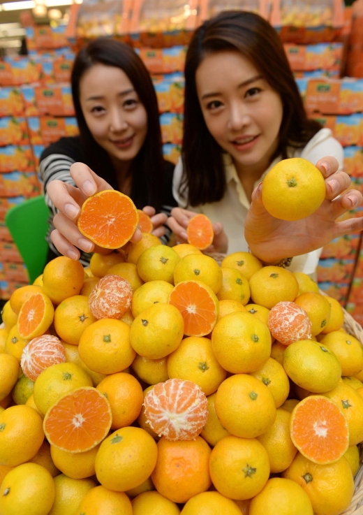 새콤달콤 ‘귤’··· 맛도 영양도 으뜸이지요!