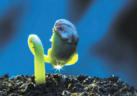 (기념일) 흙의 소중함을 이해하고 지키려는 노력, 흙의 날