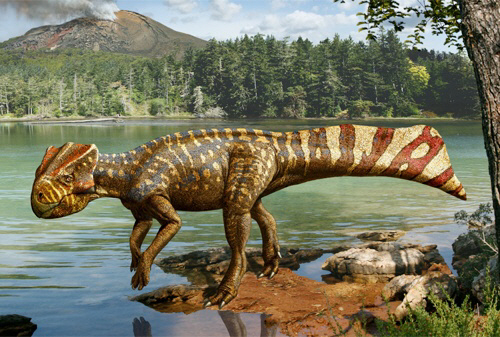 2008년 경기 화성에서 발견된 뿔공룡 화석과 이 공룡을 3D로 복원한 모습. /문화재청ㆍ화성시 제공