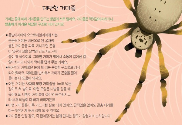 「팀 플래너리 박사의 동물 세계 탐험」숲에 사는 동물 ‘거미’