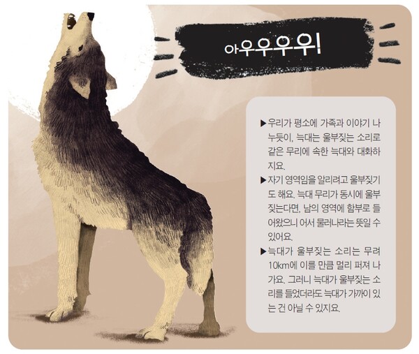 「팀 플래너너리 박사의 동물세계 대탐험」숲에 사는 동물 ‘늑대’