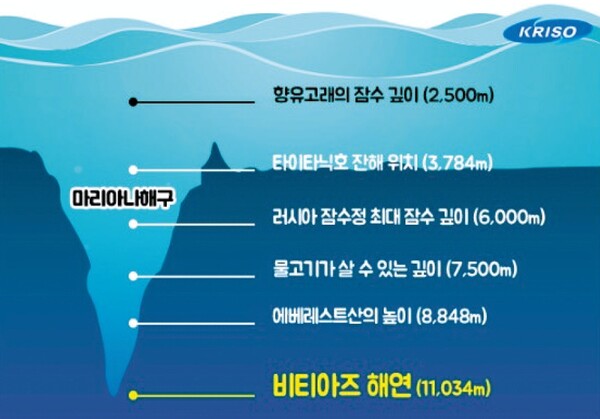 지구의 산소 75%가 바다에서 만들어진다고?