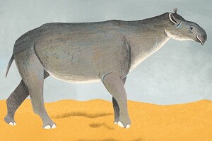 팀 플래너리 박사의 멸종 생물 대탐험 - '팀 플래너리 박사님의 딸 엠마... - 뉴스 썸네일 이미지