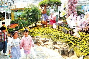 매년 1만 2000㎞ 나는 나비도 있다고?