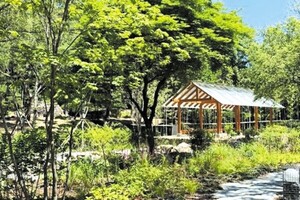 남산에 3만 규모 '<b>한국숲정원</b>' 조성